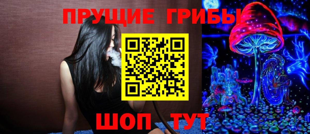 Тара  Псилоцибиновые грибы мухоморы  Вход с VPN 