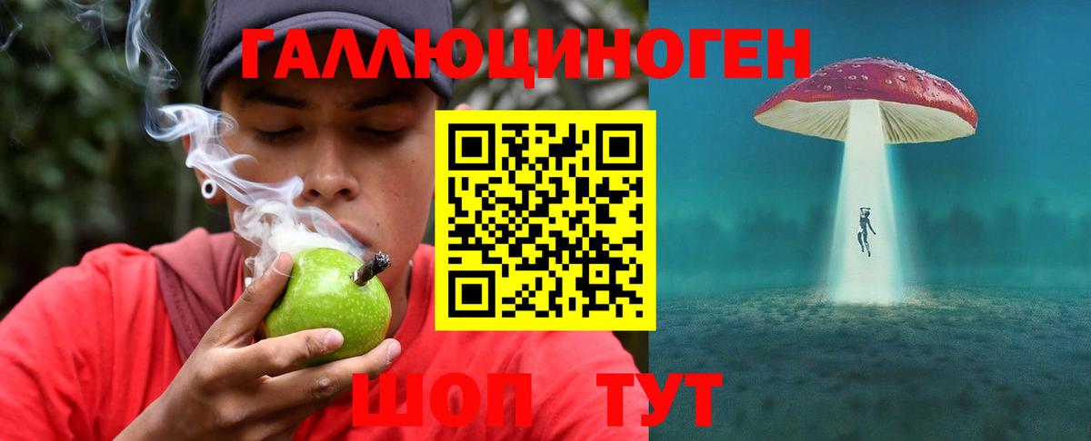 Галлюциногенные грибы Psilocybine cubensis Тара